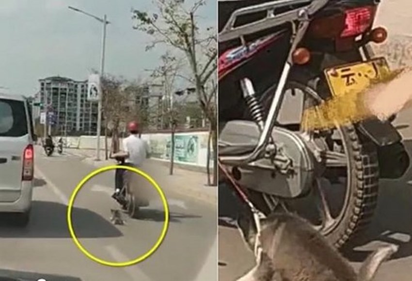 Seret Anjing Piaran sambil Mengendarai Motor Aksi Pria ini Picu Kemarahan Netter