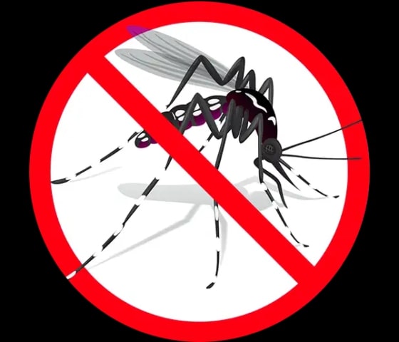 Aplikasi anti nyamuk untuk pc