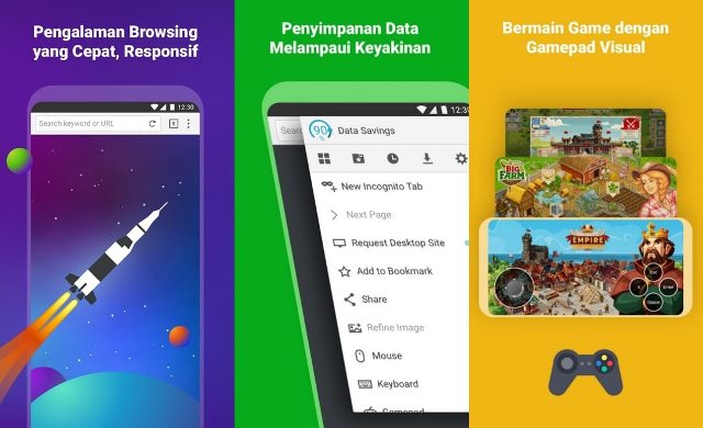 Puffin Browser Pro APK