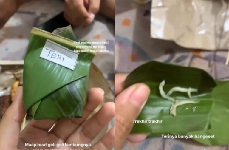 Viral Penampakan Porsi Nasi Kucing yang Dibeli dari Angkringan Bikin Syok Sekaligus Ngakak