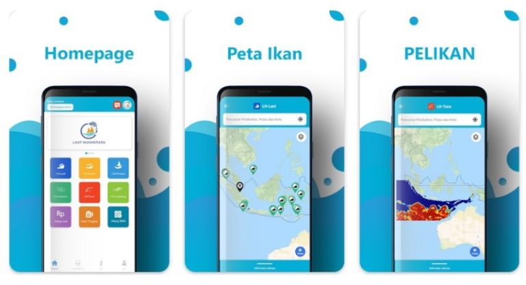 Aplikasi Untuk Memancing Ikan di Laut