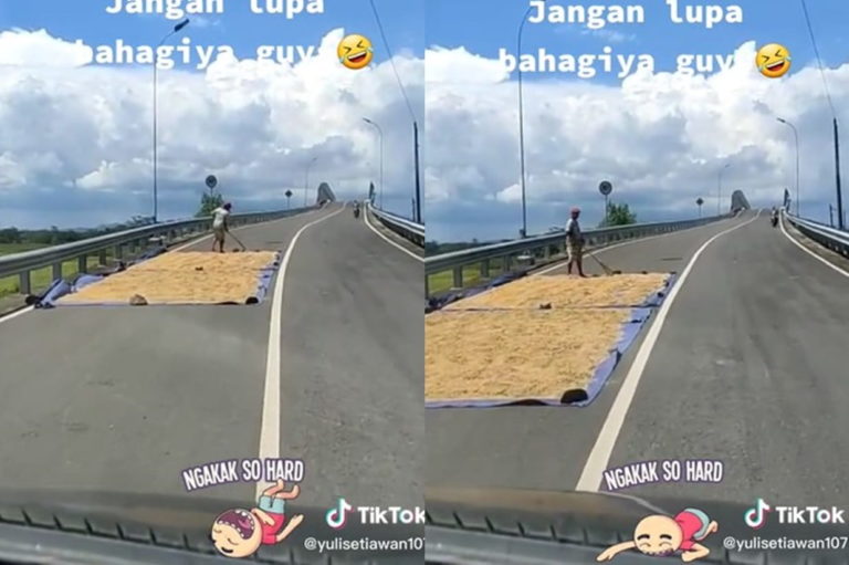 Petani Jemur Padi di Flyover Hingga Makan Separuh Jalan Pengendara Auto Keder