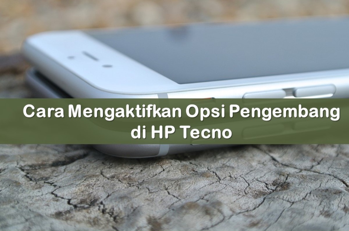 Cara Mengaktifkan Opsi Pengembang Vivo Semua Tipe Ran