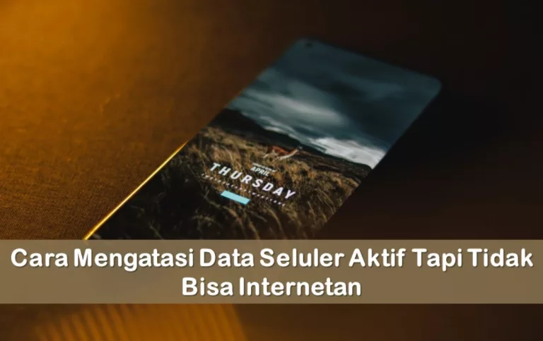 Cara Mengatasi Data Seluler Aktif Tapi Tidak Bisa Internetan