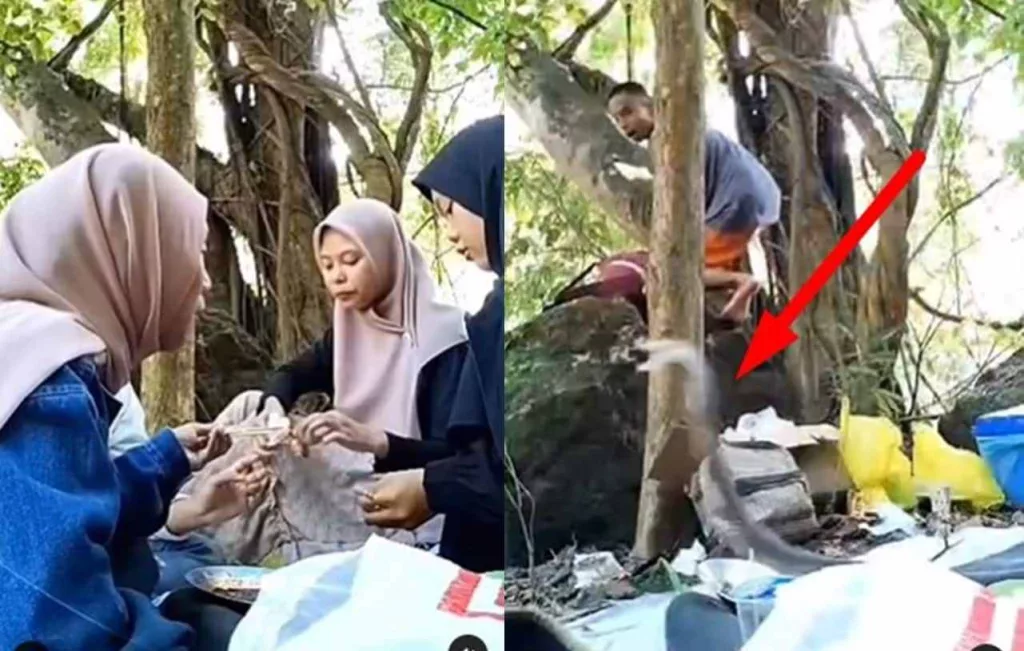 VIRAL Para Ukhti Asyik Piknik Mendadak Kocar kacir Gegara Ada Kobra, Nyaris Dipatuk!